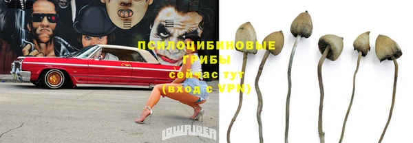 герыч Абаза