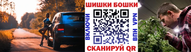 Конопля гибрид  Морозовск 